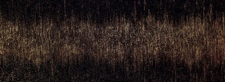 DS-Stardust-black-898x328.jpg