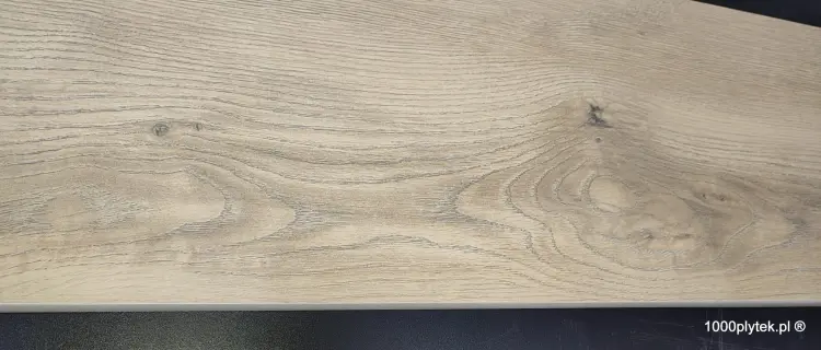 1677596655573.jpg