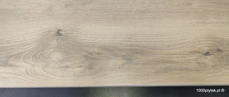 1677596655591.jpg