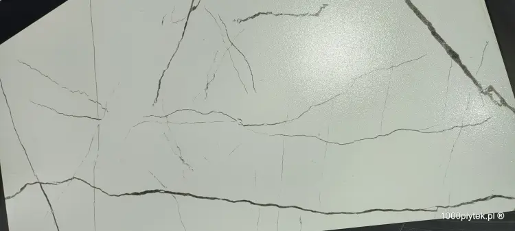 1677596656606.jpg