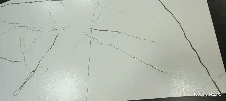 1677596656634.jpg