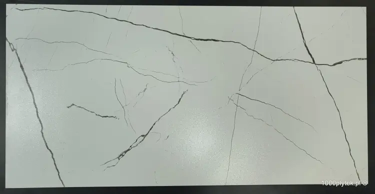 1677596656698-001.jpg