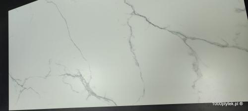 1677596656060.jpg