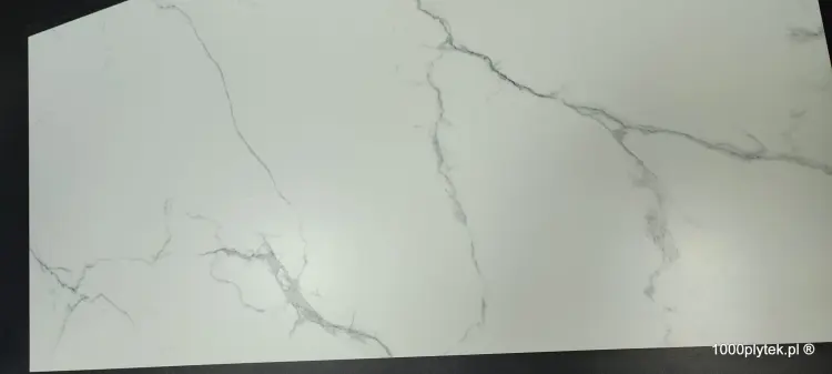 1677596656060.jpg