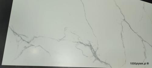 1677596656074.jpg