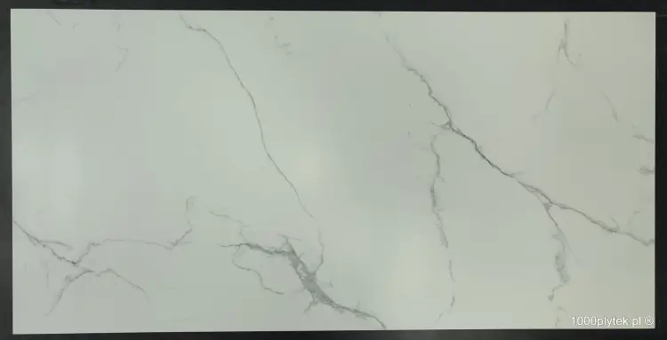 1677596656094.jpg