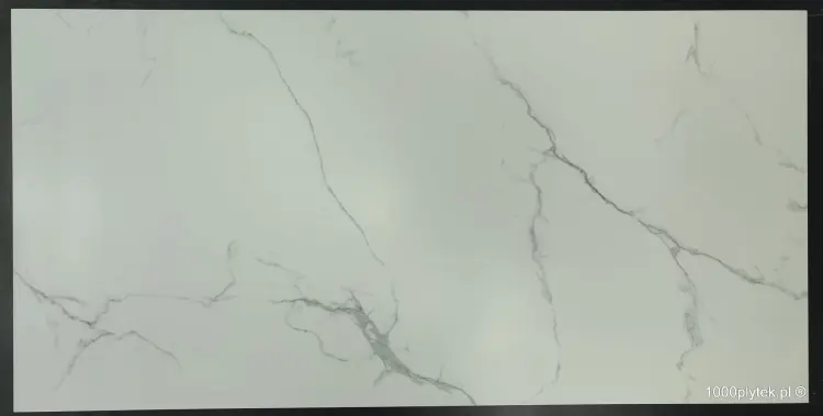 1677596656109.jpg