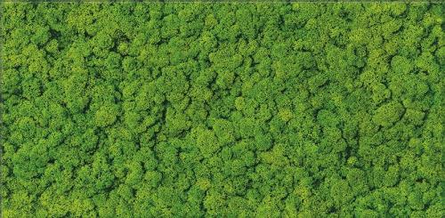 fresh_moss_glass_inserto_29x59_72dpi,qnuMpq2lq3GXrsaOZ6Q.jpg