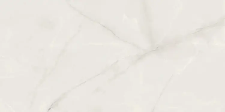 PP-Onix-Pearl-mat-598x1198-F1_DdMS2xf.jpg