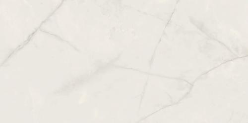 PP-Onix-Pearl-598x1198-F2_CPqxZHA.jpg