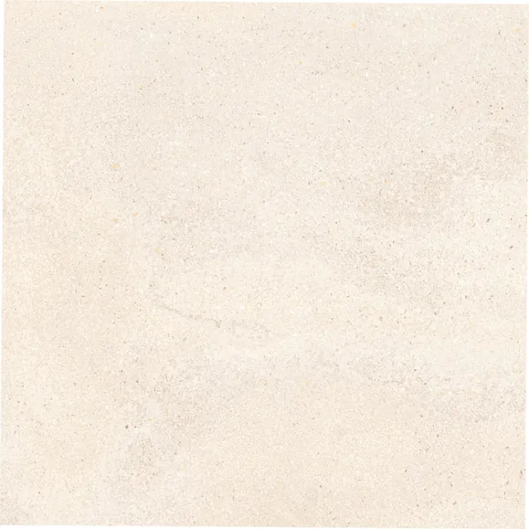 PP-Lavish-80x80.jpg