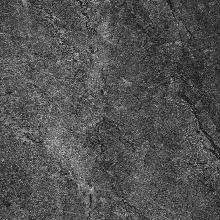 36873_0_15460.jpg
