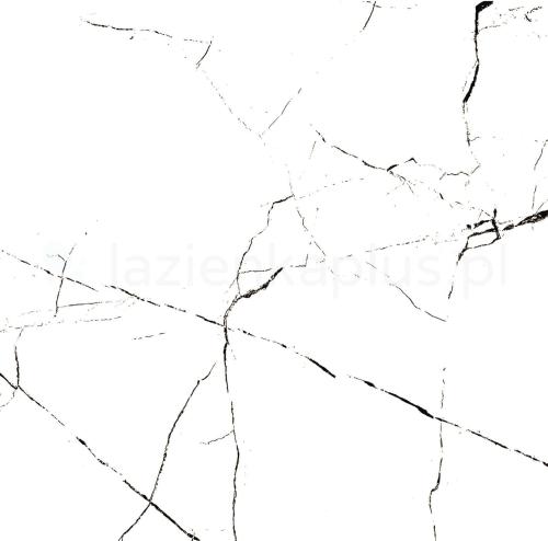 pdcorw0001_1.jpg