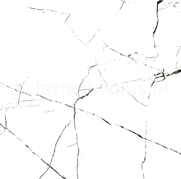 pdcorw0001_1.jpg