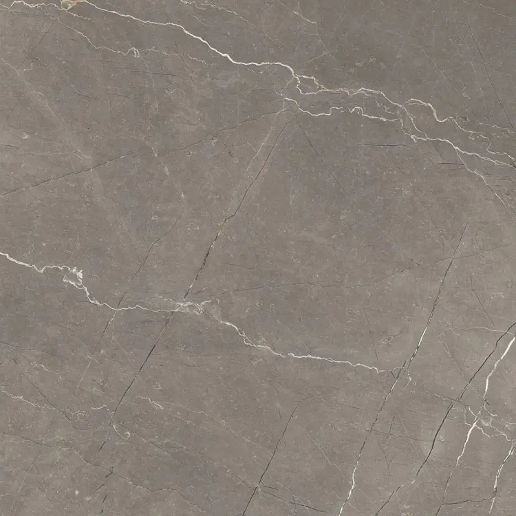 36900_0_15526.jpg