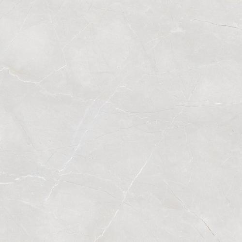 36898_0_15527.jpg