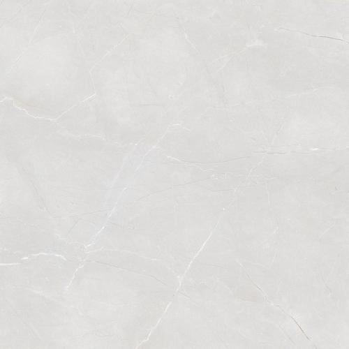 36898_0_15527.jpg