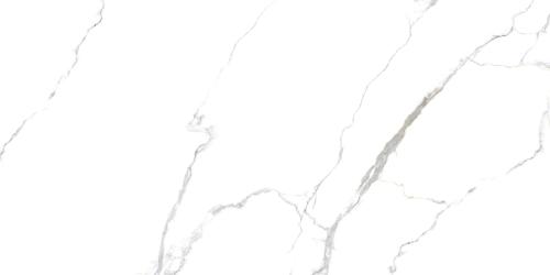 Pp ACOTHLEY 60X120 POLISHED G1.IMP1.jpg