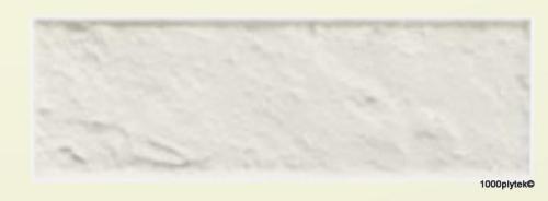 1-all in white 6 str.jpg