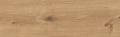 SANDWOOD BROWN 18,5X59,8.jpg