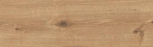 SANDWOOD BROWN 18,5X59,8.jpg