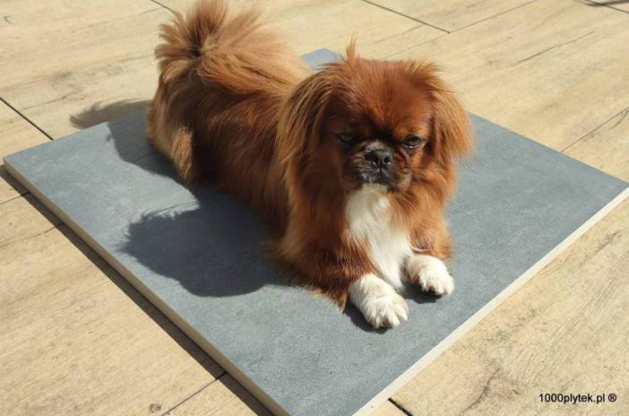 ATEM Manchester Schwarz 20mm